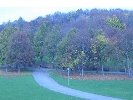 Westpark
